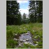 DSCN0252.html