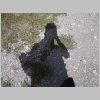 DSCN0282.html