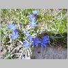 DSCN0297.html