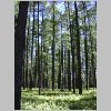 DSCN0339.html