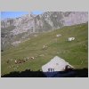 DSCN0351.html