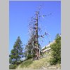 DSCN0355.html