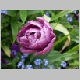 PICT0889.JPG