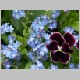 PICT0890.JPG