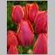 PICT0896.JPG