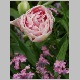 PICT0897.JPG