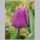 PICT0899.JPG