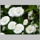 PICT0915.JPG
