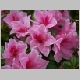 PICT0916.JPG