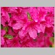 PICT0923.JPG