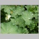 PICT0925.JPG