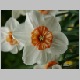 PICT0927.JPG
