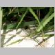 PICT0984.JPG