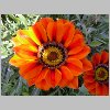 DSCN0511.html