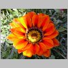 DSCN0512.html