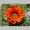DSCN0513.html
